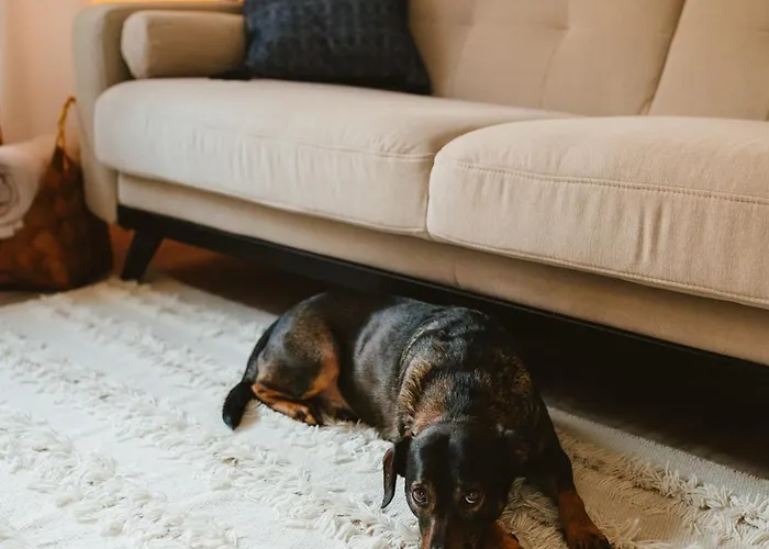 Helapart - Obroncow Helu 13